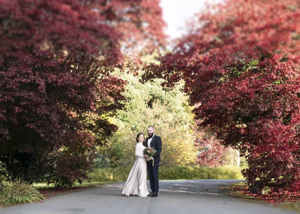 bridal couple embracing on a pathway which is overshadowed by red trees in Mount Juliet Estate