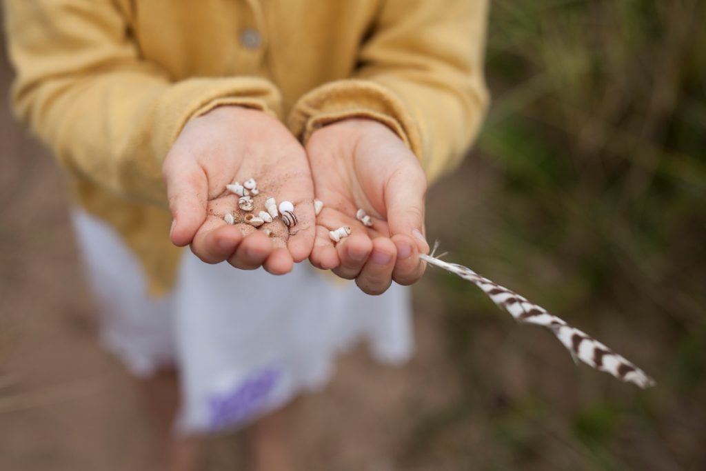 A picture of a young girl holding seashells in her hands
